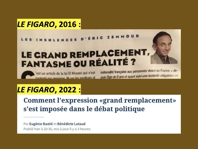 Fichier:Grand remplacement.jpeg