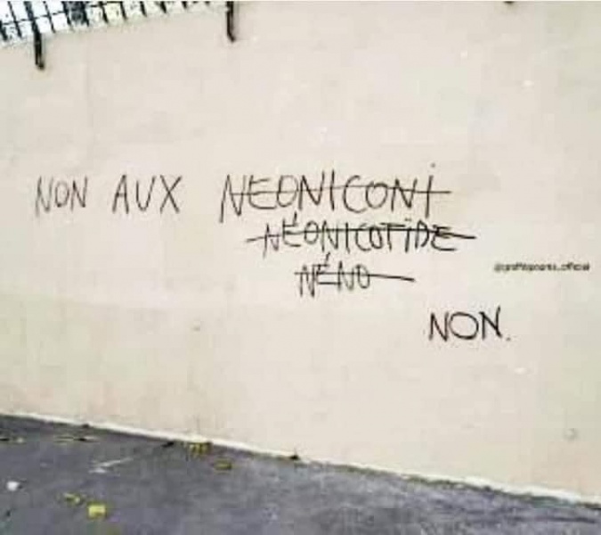 Fichier:Néonic.jpg