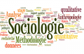 Sociologie.png