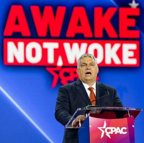 Fichier:Awake not woke.jpeg