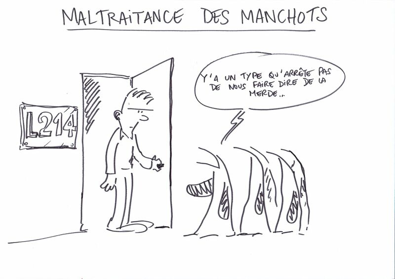 Fichier:Manchots.jpeg